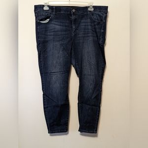 Women's  Lane Bryant/Venezia Women's mid rise, boot cut jeans, size 20S